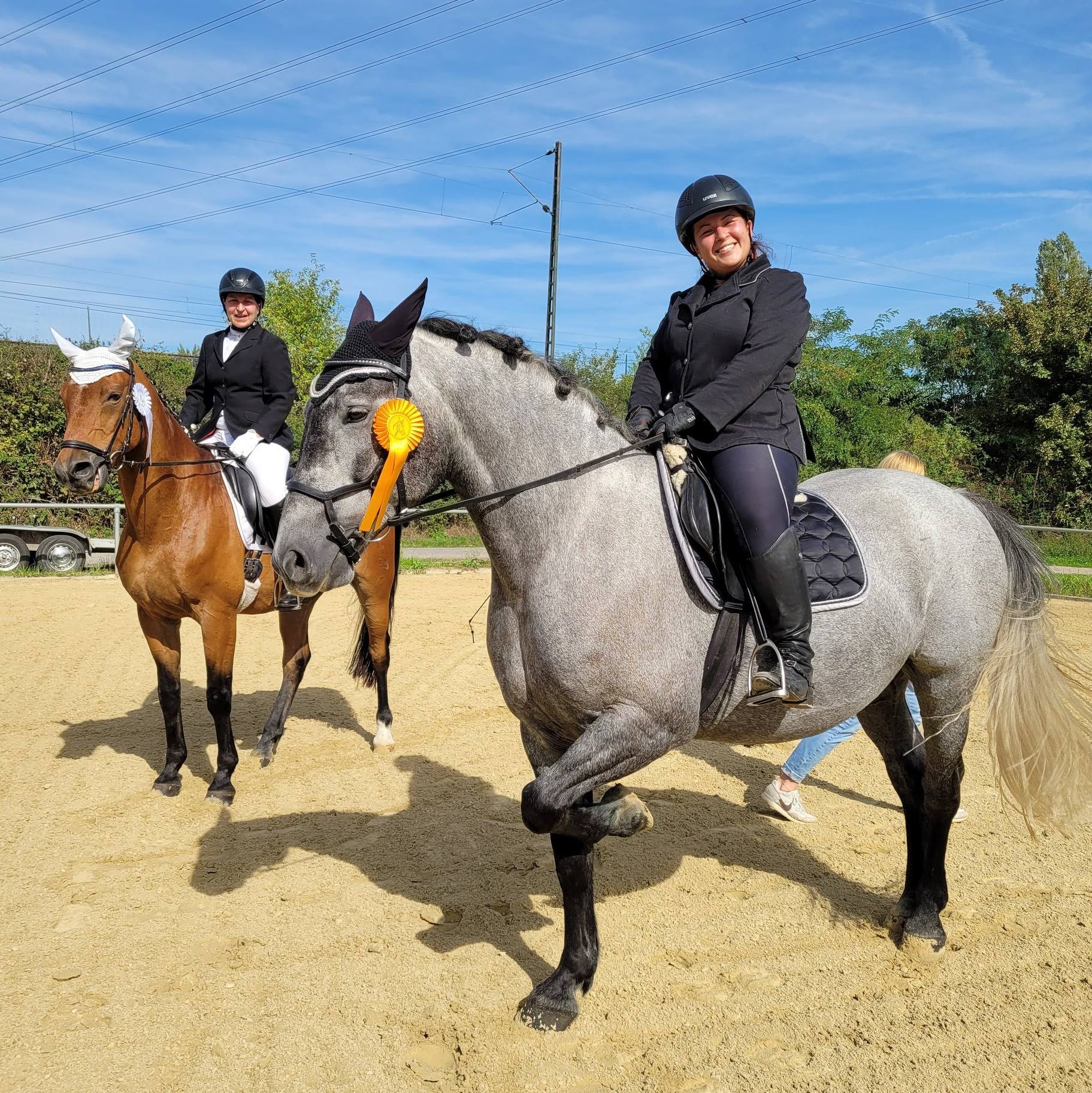 Reitertag 2025 am 20. September