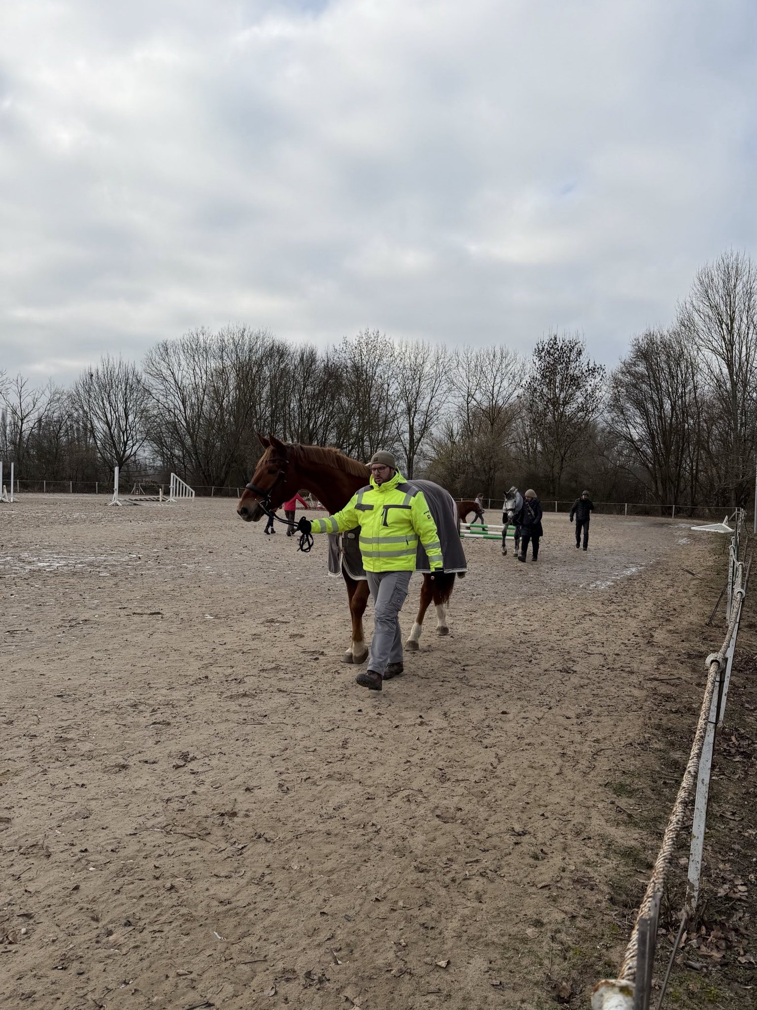 Lehrgang „Pferdeführerschein Umgang“ – Januar 2026